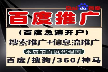 案例分享：专业SEM托管助力品牌崛起